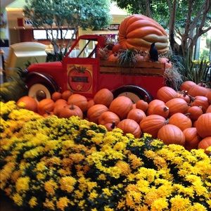 Meet your Posher, Brenda